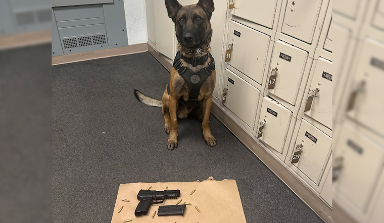 San Pablo K-9 Unit Thwarts Potential Danger During DUI Stop, Vallejo Man Arrested for Illegally Possessing Loaded Firearm
