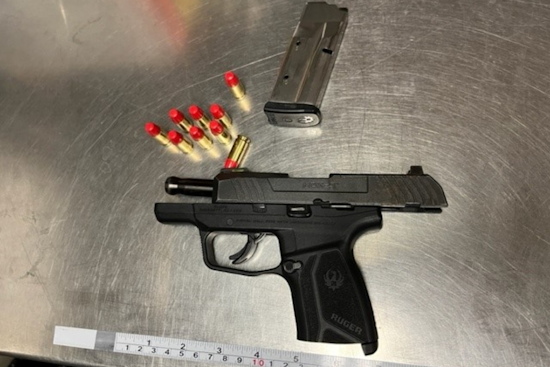 Santa Rosa Traffic Stop Leads to Discovery of Loaded Firearm, Driver Arrested and Charged