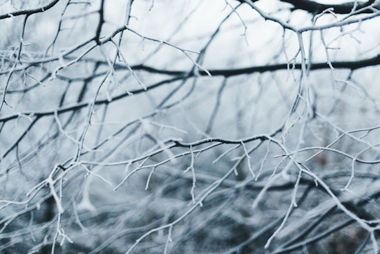 School Closures and Delays Sweep Carolinas Amid Wintry Weather Forecast