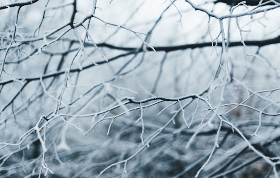 School Closures and Delays Sweep Carolinas Amid Wintry Weather Forecast