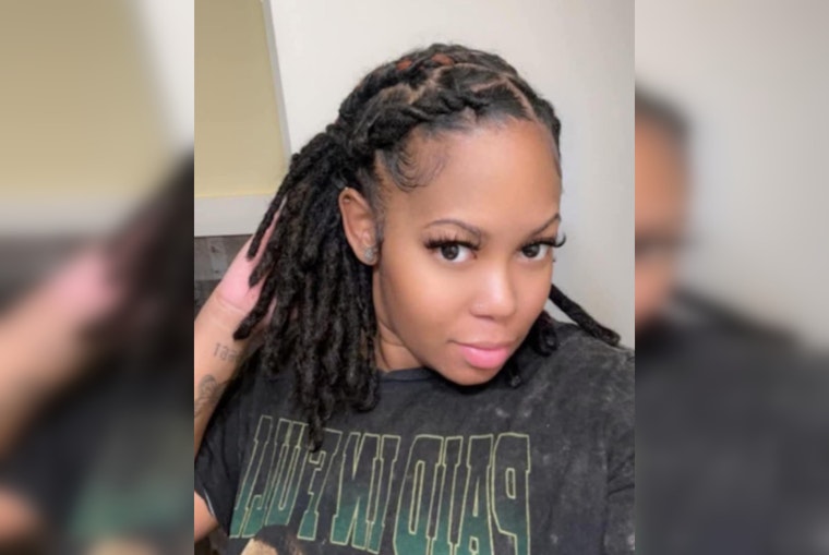 Search Intensifies for Missing Metro Detroit Mother Ashley Elkins, Last Seen in Roseville
