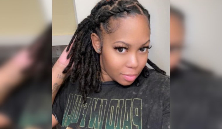 Search Intensifies for Missing Metro Detroit Mother Ashley Elkins, Last Seen in Roseville