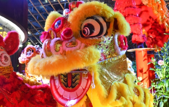 Seattle, Bellevue, and Redmond Usher In the Year of the Snake with Cultural Festivities and Performances
