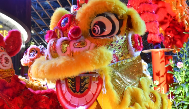 Seattle, Bellevue, and Redmond Usher In the Year of the Snake with Cultural Festivities and Performances