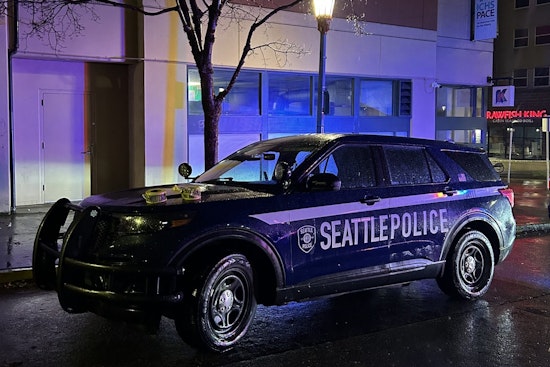 Seattle Police Nab Six for DUI, Seize Drugs in New Year's Eve Patrol