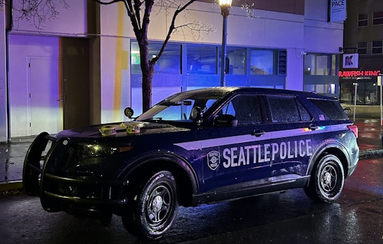 Seattle Police Nab Six for DUI, Seize Drugs in New Year's Eve Patrol