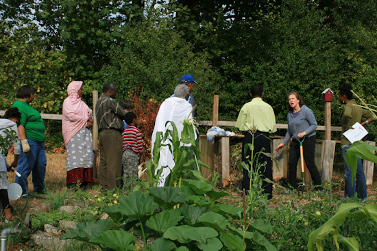 Seattle's Neighborhood Matching Fund Injects Over $1 Million Into Community Projects