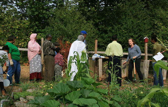Seattle's Neighborhood Matching Fund Injects Over $1 Million Into Community Projects