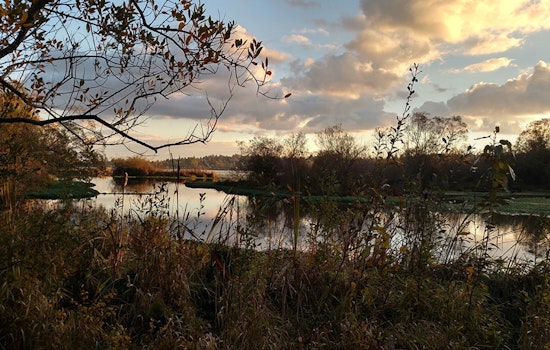 Seattle's Union Bay Natural Area, A Transformation from City Dump to Urban Oasis