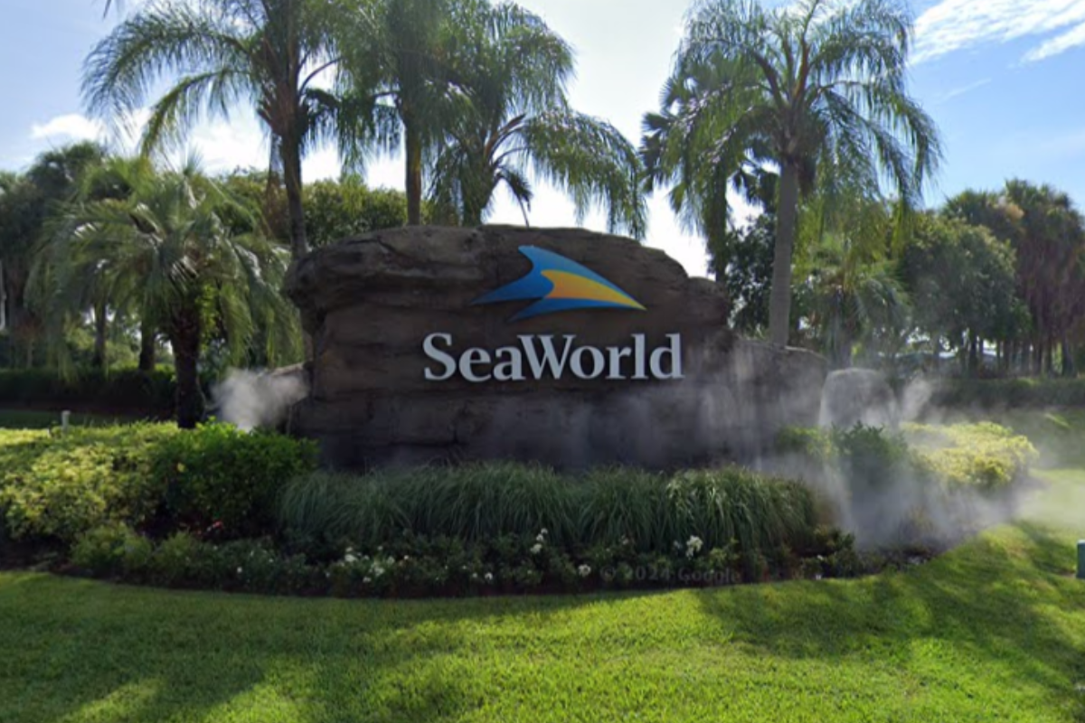 SeaWorld Orlando Rings in the New Year with Free Beer Offer for Guests Over 21