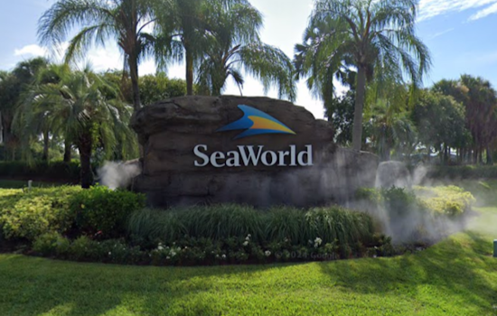 SeaWorld Orlando Rings in the New Year with Free Beer Offer for Guests Over 21
