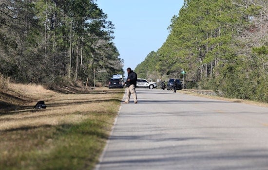 St. Johns County Sheriff's Office Identifies Suspect in Flagler Estates Hit and Run; Seizes Vehicle