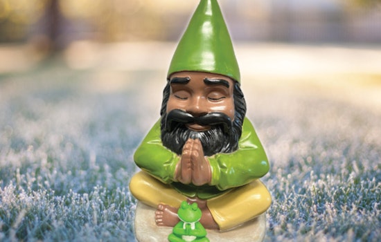 St. Louis Park Embraces Whimsy with New Year's Gnome Scavenger Hunt