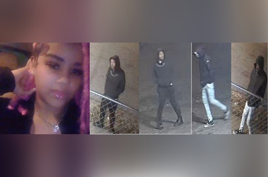 St. Louis Police Seek Public's Help in Locating Three Suspects in Dutchtown Carjacking Case