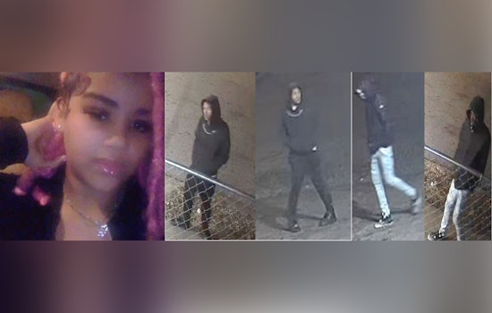 St. Louis Police Seek Public's Help in Locating Three Suspects in Dutchtown Carjacking Case