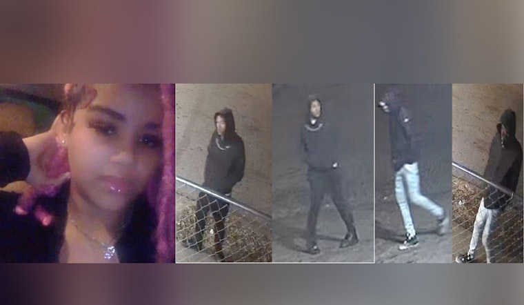 St. Louis Police Seek Public's Help in Locating Three Suspects in Dutchtown Carjacking Case