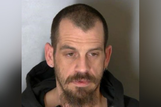 Sterling Heights Man Arrested, Charged in Multi-Location Drug Bust in Macomb County