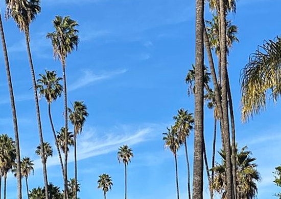Sunny Days Ahead With Evening Fog, Los Angeles Winter Weather Forecast