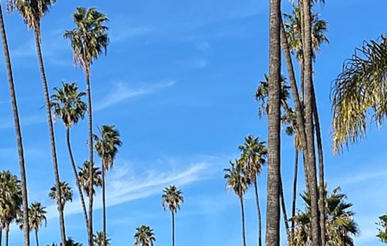 Sunny Days Ahead With Evening Fog, Los Angeles Winter Weather Forecast