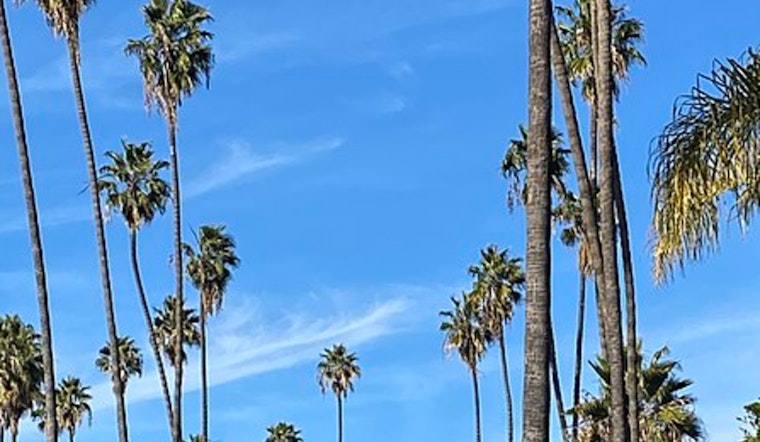 Sunny Days Ahead With Evening Fog, Los Angeles Winter Weather Forecast