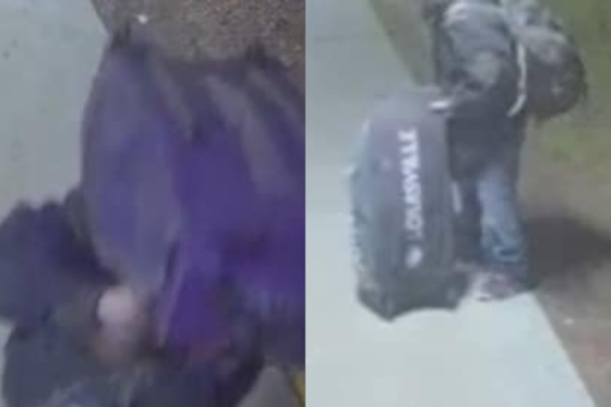 Suspect Charged in Series of Burglaries at Piner High School in Santa Rosa
