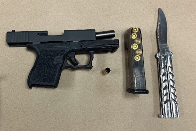 Suspected Armed Carjacker Apprehended After Shootout and Foot Chase in Santa Rosa