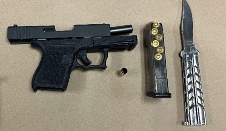 Suspected Armed Carjacker Apprehended After Shootout and Foot Chase in Santa Rosa