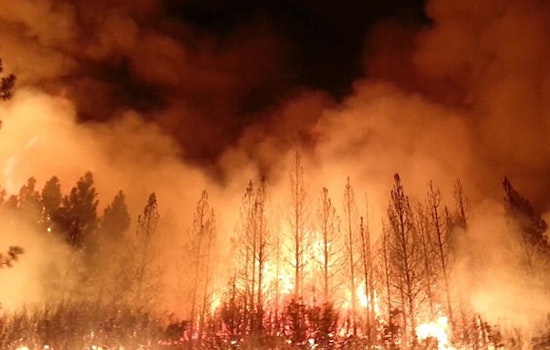 Suspected Arsonist Detained by Residents Amidst Los Angeles' Kenneth Fire Outbreak