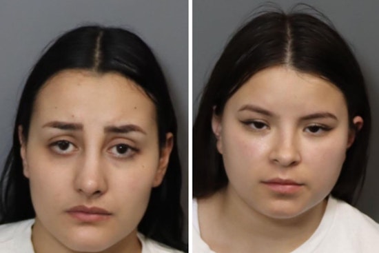 Suspects in Sacramento County Organized Retail Theft Released on Own Recognizance; Over $19,000 in Stolen Goods Seized