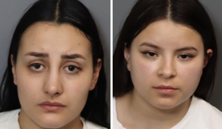 Suspects in Sacramento County Organized Retail Theft Released on Own Recognizance; Over $19,000 in Stolen Goods Seized