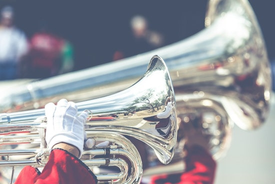Sussex Hamilton High School Marching Band to Champion Wisconsin at Rome New Year's Day Parade
