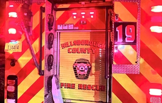 Tampa Firefighters Rescue One Dog, Another Missing After Intense House Fire on Little River Drive