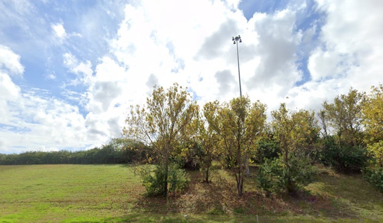 Tampa Forecasts a Week of Mixed Weather with Showers, Sun, and Temperatures in the Mid-60s