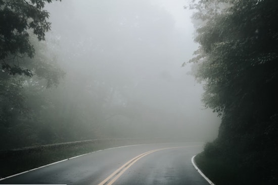 Tampa Weather Watch Reports Foggy Mornings Followed by Sunny Days and Mild Evenings