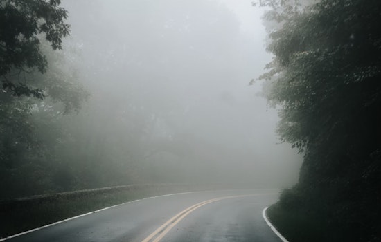 Tampa Weather Watch Reports Foggy Mornings Followed by Sunny Days and Mild Evenings