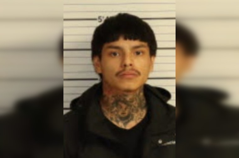Teenager and 20-Year-Old Suspected of Multiple Violent Offenses Including Attempted Murder and Carjacking