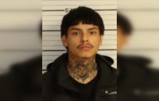 Teenager and 20-Year-Old Suspected of Multiple Violent Offenses Including Attempted Murder and Carjacking