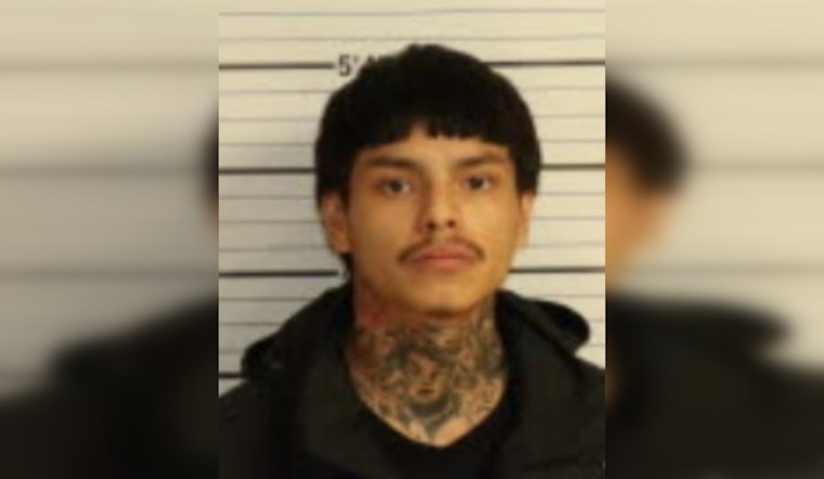 Teenager and 20-Year-Old Suspected of Multiple Violent Offenses Including Attempted Murder and Carjacking