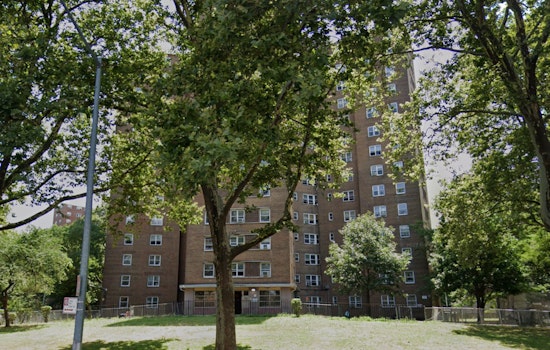 Teenager Shot in Leg at NYCHA Albany Houses in Crown Heights Brooklyn as Police Seek Suspect in Black