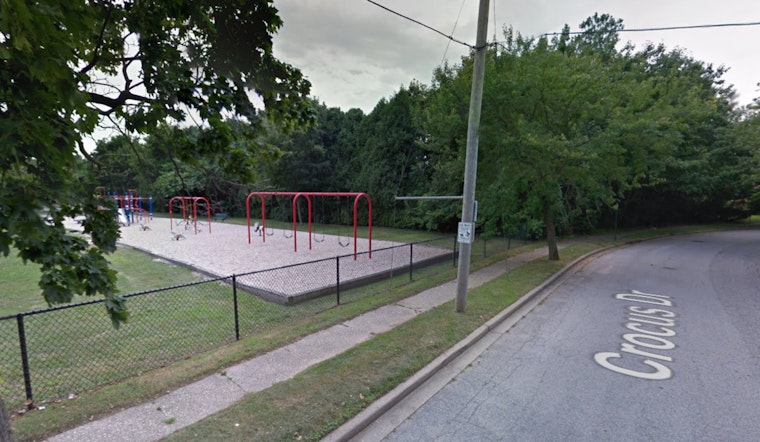 Teenagers Assaulted and Robbed in Disturbing Syosset Playground Incident, Suspects Charged
