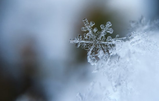 Texas on High Alert as Arctic Blast Prompts ERCOT Weather Watch and Safety Precautions in Austin