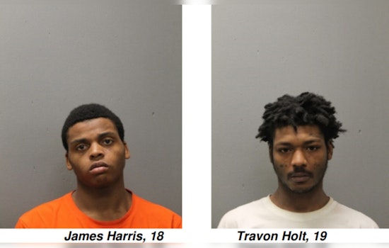 Two Young Men Charged with Felony Robbery on Chicago Train Platform