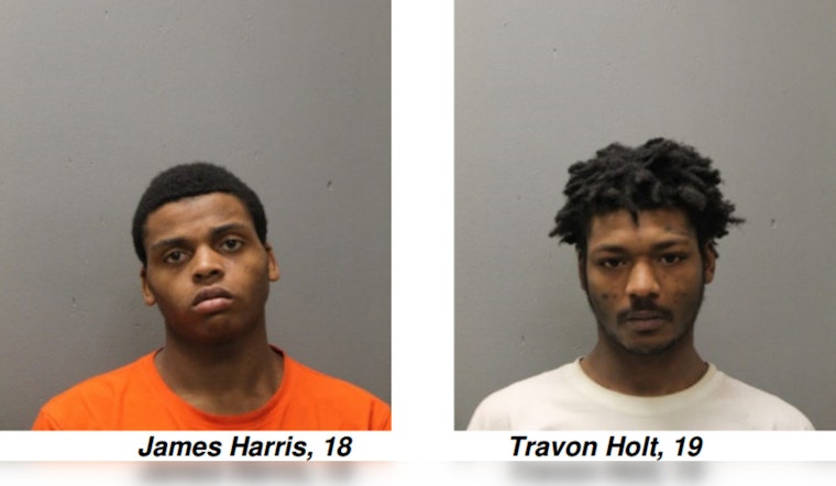 Two Young Men Charged with Felony Robbery on Chicago Train Platform