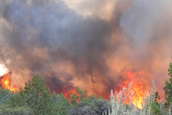 Uncontrolled Bonfire Sparks Grass Fire in Godley, Local Fire Department Responds