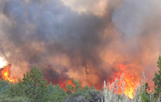 Uncontrolled Bonfire Sparks Grass Fire in Godley, Local Fire Department Responds