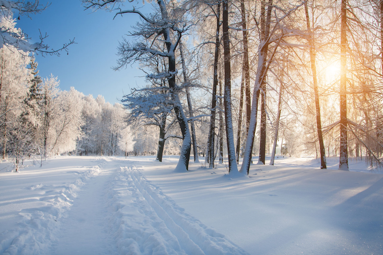 Upper Arlington Senior Center Closes Amidst Icy Weather, Prioritizes Safety of Seniors and Staff