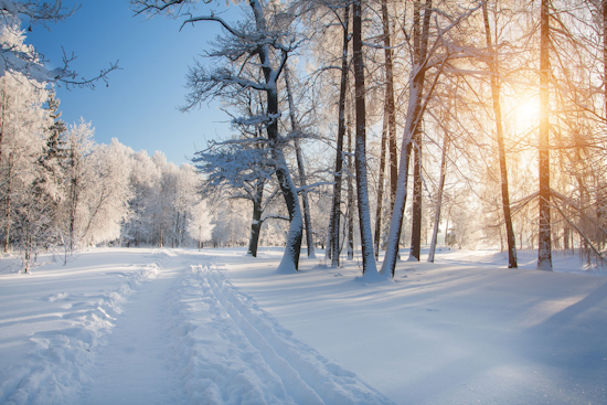 Upper Arlington Senior Center Closes Amidst Icy Weather, Prioritizes Safety of Seniors and Staff