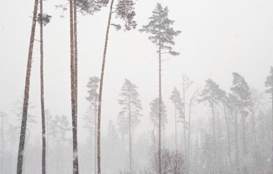 Urgent Cold Weather Alerts Issued for New Orleans and Southern Mississippi as Severe Winter Conditions Approach