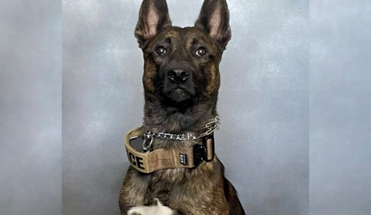 Vacaville Police K9 Recovers After Losing Leg in Standoff, Suspect Darren Crail Faces Multiple Charges