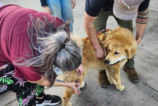 Valley Center Hosts Successful Pet Microchip and Vaccine Clinic Amid LA Fires, Attracts Residents from Escondido to Vista